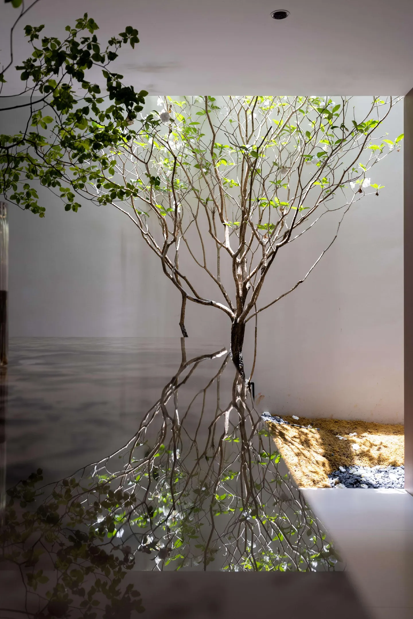 A world map with financial graphs overlay.